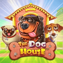 The Dog House